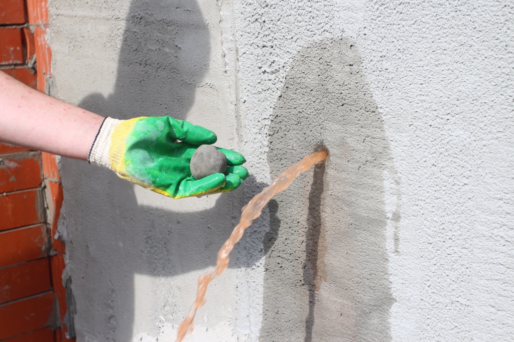 IMG_9532.jpg IMG_9532.jpg